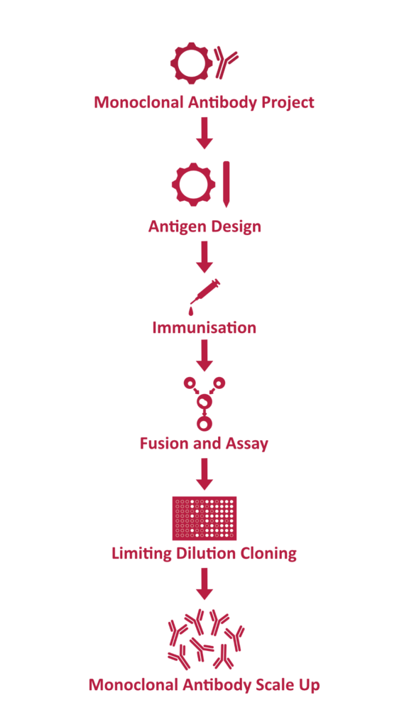 ANTIGEN DESIGN - Antibody Production