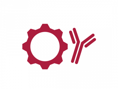 Custom Monoclonal Antibody Project